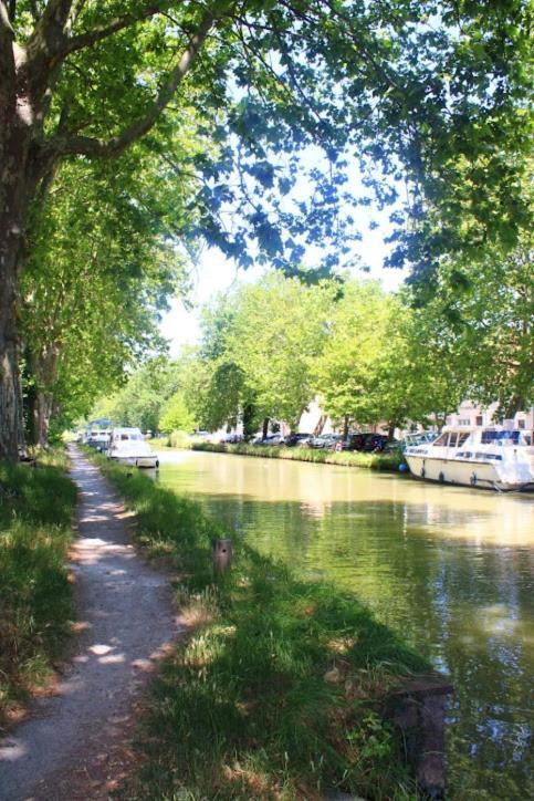 L'Appart Du Canal Carcassonne Ngoại thất bức ảnh